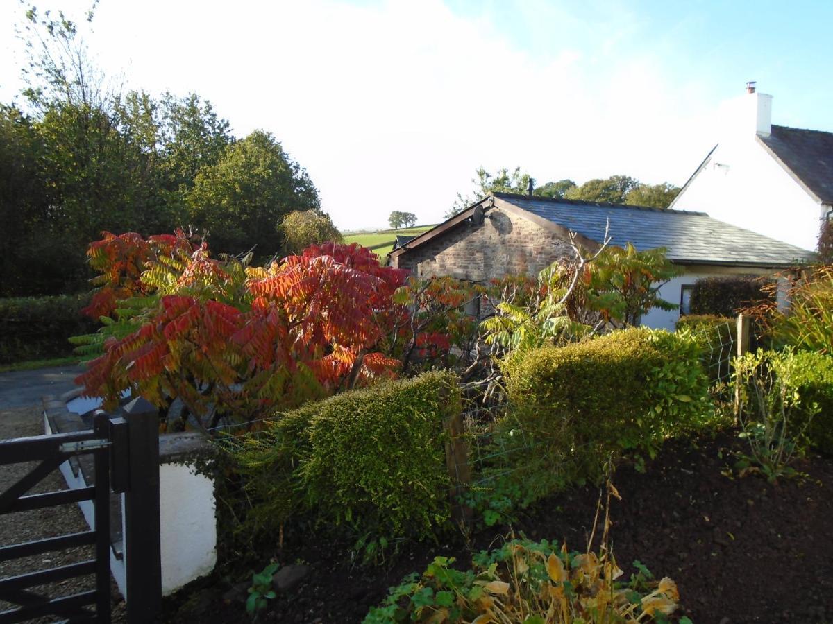 Auld Ffynnon Villa Brecon Luaran gambar
